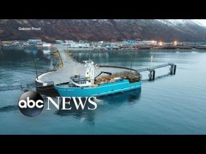 Read more about the article Alaska cancels king and snow crab seasons due to population collapse