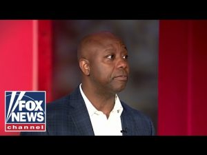 Read more about the article There’s not a more important midterm for America’s future: Sen. Tim Scott