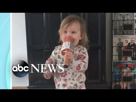 You are currently viewing Pint-sized powerhouse