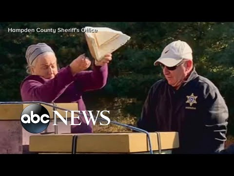 You are currently viewing Protester armed with bees