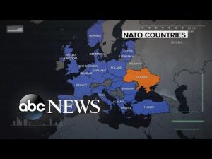 Read more about the article Leaders of some NATO member countries back membership for Ukraine
