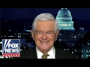 Read more about the article Newt Gingrich predicts Republicans pick up key Senate seats