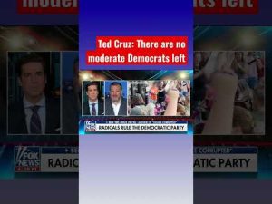 Read more about the article Ted Cruz: Democrats have handed their agenda to the radicals #shorts