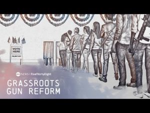 Read more about the article American Turning Point: Grassroots gun reform