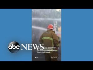 Read more about the article Massive blaze consumes North Hollywood commercial building l ABC News