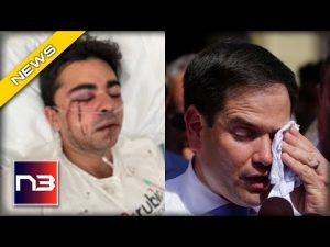 Read more about the article Mostly Peaceful Liberal BRUTALLY ATTACKS Marco Rubio Canvasser Going Door-to-Door