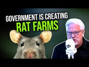 Read more about the article Glenn: Vietnam RAT FARMS prove the free market ALWAYS WORKS