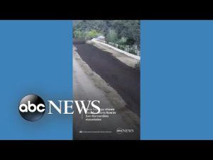 Read more about the article New footage shows deadly debris flow in San Bernardino Mountains l ABC News