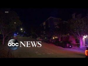 Read more about the article House Speaker Pelosi’s husband assaulted by home intruder in San Francisco | ABCNL