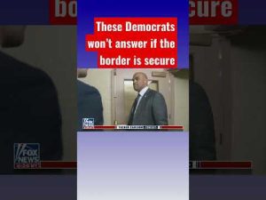 Read more about the article Democrats avoid saying if the border is secure #shorts
