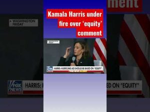 Read more about the article Kamala Harris calls for ‘equity’ in hurricane aid #shorts