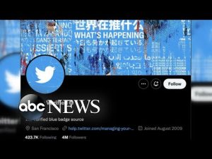 Read more about the article Twitter’s verification process is getting revamped