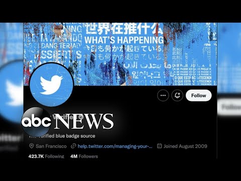 You are currently viewing Twitter’s verification process is getting revamped