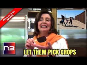 Read more about the article Nancy Pelosi Gets DESTROYED For Claiming Florida Needs Illegal Immigrants To Pick Crops!