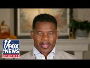 Read more about the article They’ll do anything to win this seat: Herschel Walker