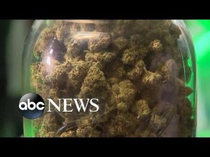 Read more about the article Marijuana legalization on the ballot in 5 states | ABCNL