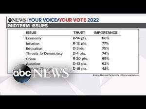 Read more about the article Economy, threats to democracy top of mind for voters | ABCNL