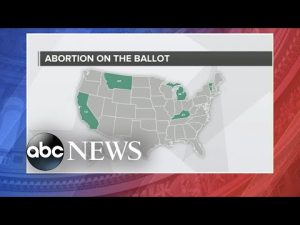 Read more about the article Abortion on ballot in 5 states, as 14 others ceased nearly all abortion services