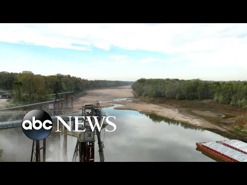 You are currently viewing The political impact of midterm elections on climate change