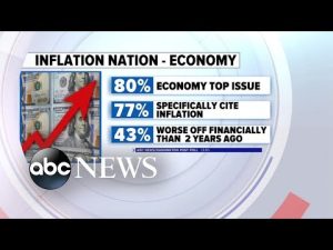 Read more about the article Economy, inflation top concerns for voters, exit polls show