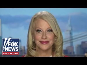 Read more about the article Kellyanne Conway: This isn’t a wave, it’s a political realignment