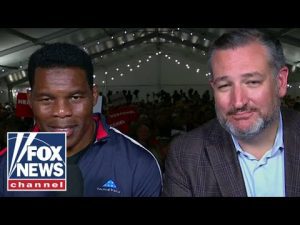 Read more about the article Herschel Walker: I’m fighting for the people