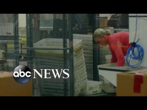 Read more about the article Votes still being counted in critical Arizona Senate race l GMA