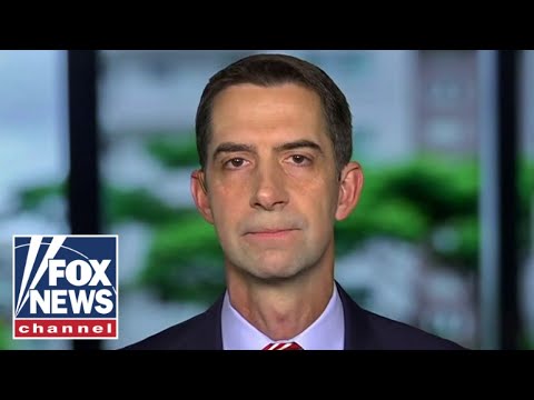 You are currently viewing Cotton: We need election results on Election Night