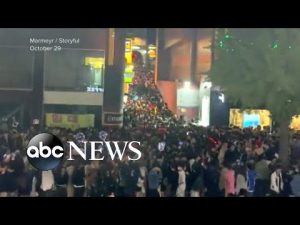Read more about the article South Korean police reveal emergency calls began hours before deadly crowd surge