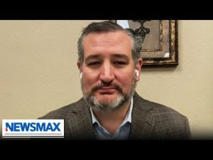 Read more about the article Ted Cruz: This is why a ‘red tidal wave’ is coming