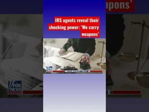 Read more about the article Tulsi Gabbard: Why do IRS agents need to carry weapons and handcuffs? #shorts