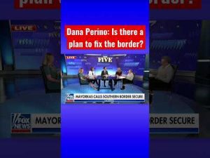 Read more about the article Dana Perino sets the record straight on the border crisis #shorts