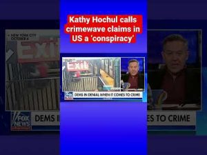 Read more about the article Kathy Hochul claims the ‘safer places’ are Democratic states #shorts