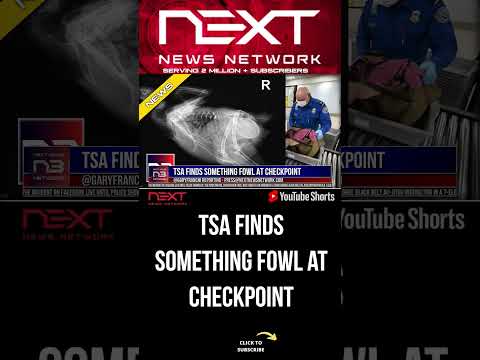 You are currently viewing TSA FINDS SOMETHING FOWL AT CHECKPOINT #shorts