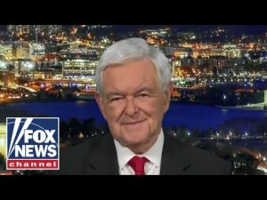 Read more about the article Everybody has to turn out and vote: Newt Gingrich