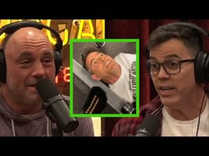Read more about the article Steve-O on Having UFC Fighters Give Him Cauliflower Ear