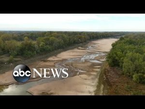 Read more about the article Mississippi River reaches historically low levels l ABCNL