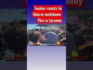 Read more about the article Tucker torpedoes liberals for attacking free speech #shorts