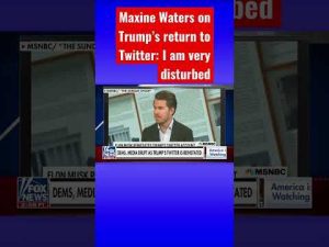 Read more about the article Liberal media has complete meltdown over Trump’s Twitter reinstatement: Jimmy Failla #shorts