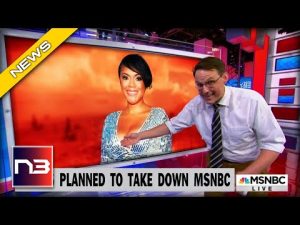 Read more about the article Toxic MSNBC Host Tiffany Cross Planned To ‘Take Down’ Network Before Unexpected Departure