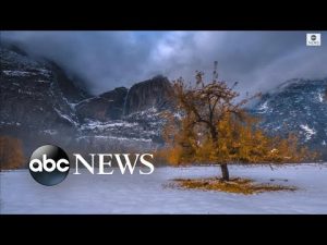 Read more about the article Time-lapse captures seasonal beauty in Yosemite Valley