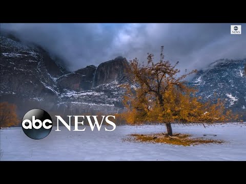 You are currently viewing Time-lapse captures seasonal beauty in Yosemite Valley