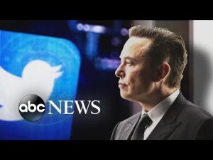 Read more about the article Twitter CEO Elon Musk reinstates Donald Trump’s Twitter account
