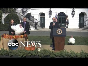 Read more about the article Biden pardons turkeys as part of annual tradition