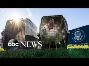 Read more about the article Turkey pardon, FIFA World Cup, Buffalo snow: World in Photos, Nov. 21