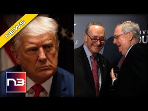 Read more about the article MAGA Purge Begins As Top Swampers Schumer and McConnell Join Forces To Crush The Will of The People