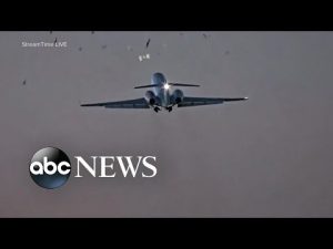 Read more about the article Bird strike forces emergency landing of US Air Force plane