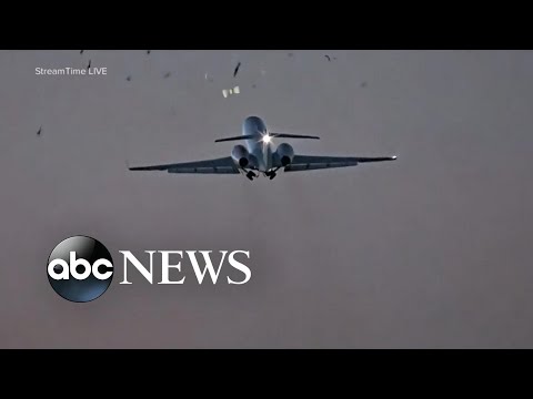 You are currently viewing Bird strike forces emergency landing of US Air Force plane