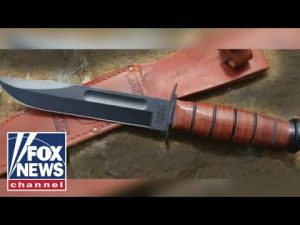 Read more about the article Inside the mind of the Idaho killer