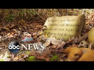 Read more about the article Going green after death